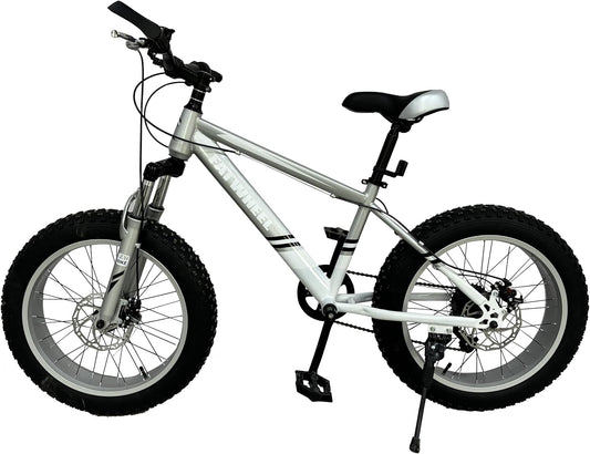 Mountain Bike, 120cm, Royal Led, FATWHEEL Bicicletta per bambini misura 20', Fat Bike con Freni a Disco, Bici per Ragazzi 7-12 Anni