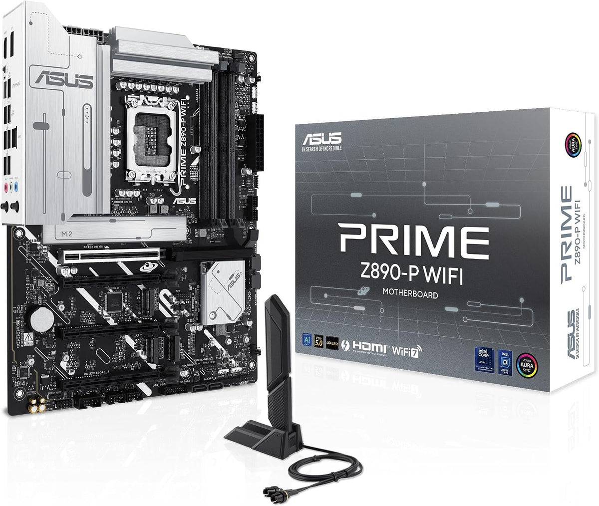 Schede madri Z890-P, con WiFi, nero, ASUS, Slot DDR5